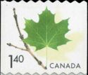Green Maple Leaf on Twig - Definitive Reprint