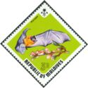Indian Flying Fox (Pteropus medius ariel)