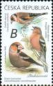 Goldfinch, Chaffinch and Hawfinch
