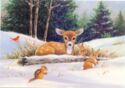 Fawn, squirrel and rabbits