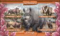 African Rhinoceroses