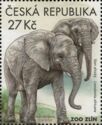 African Elephants (Loxodonta africana)