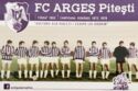 FC Argeș Pitești