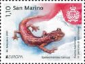 Italian cave salamander (Speleomantes italicus)