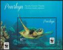 Pacific Green Turtle (Chelonia mydas)