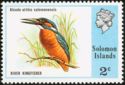 River Kingfisher (Alcedo atthis salomonensis)
