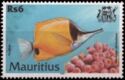 Longnose Butterflyfish (Forcipiger flavissimus)