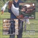 150th anniversary of the JSPCA