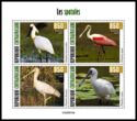 Spoonbills