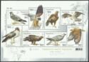 Birds of Prey in Red Book of Ukraine