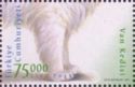 Turkish Van (Felis silvestris catus) - Part
