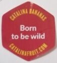 Catalina - Born to be wild