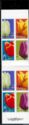 Tulips Booklet