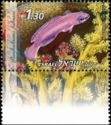 Orchid Dottyback (Pseudochromis fridmani)