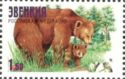 Brown Bears