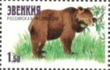Brown Bear