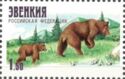 Brown Bears