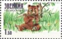 Brown Bear