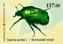 Rose Chafer (Cetonia aurata L.)