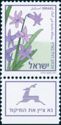 Hyacinth (Hyacinthus orientalis)