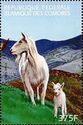 Domestic Goat (Capra hircus)