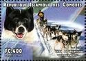 Sled Dogs