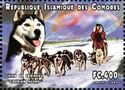 Sled Dogs