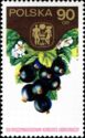 Black Currants (Ribes nigrum)