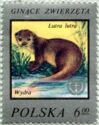 Eurasian Otter (Lutra lutra)