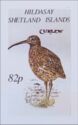 Curlew