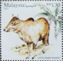 Kedah-Kelantan Cattle