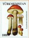 Mushrooms of Asia