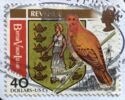 Coat of Arms and Common Ground-Dove (Columbina passerina)