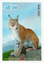 Eurasian Lynx (Lynx lynx)