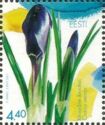 Crocus (Crocus vernus)