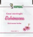Echinacea/Echinacea herba, dif bag, glossy