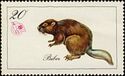 切手:-Eurasian-Beaver-(Castor-fiber)-(ドイツ、民主共和国:シンデレラ切手)