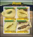 Fossils