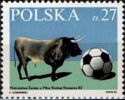 Bull (Bos primigenius taurus), Soccer Ball