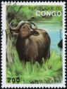 African Forest Buffalo (Syncerus caffer nanus)