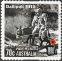 Gallipoli 1915 - Field Medicine
