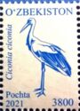 White Stork (Ciconia ciconia)