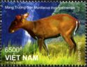 Annamite Muntjac (Muntiacus truongsonensis)