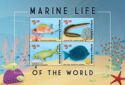 Marine Life of the World