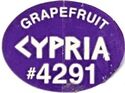 Cypria Grapefruit 4291
