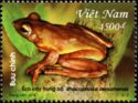 Annam Flying Frog (Rhacophorus annamensis)