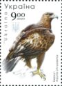 Golden Eagle (Aquila chrysaetos)