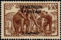 African Elephant (Loxodonta africana) overprint