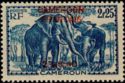African Elephant (Loxodonta africana) overprint