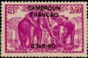 African Elephant (Loxodonta africana) overprint